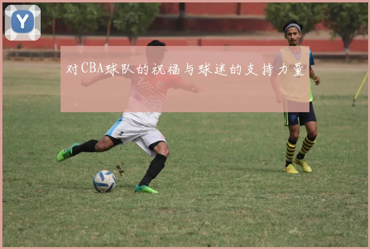 对CBA球队的祝福与球迷的支持力量