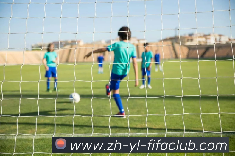 世界杯买球平台生态图