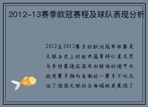 2012-13赛季欧冠赛程及球队表现分析